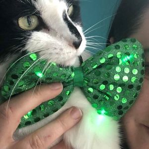 Meet your Posher, Shelley